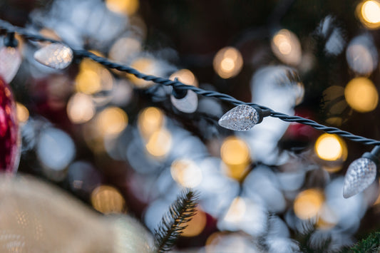 I protagonisti del Natale